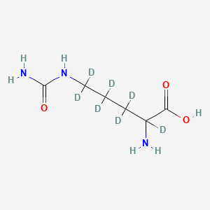 Chemical structure of L-Citrulline-d7