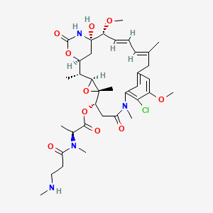 Chemical structure of Maytansinoid B