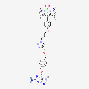 Chemical structure of PYBG-BODIPY