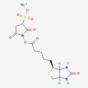 Chemical structure of Sulfo-NHS-Biotin sodium