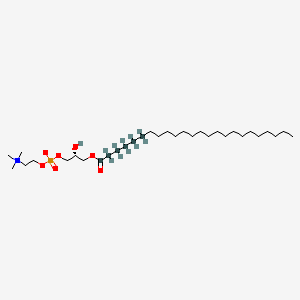 Chemical structure of 24:0 Lyso PC-13C6