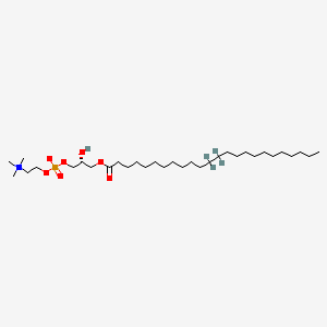 Chemical structure of 24:0 Lyso PC-d4