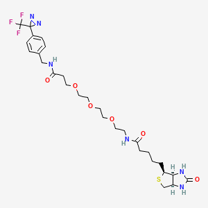 Chemical structure of Biotin-PEG3-CONH-Ph-CF3-diazirine