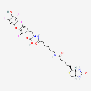Chemical structure of Biotin-hexanamide-(L-Thyroxine)