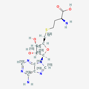 Chemical structure of SAH-13C10