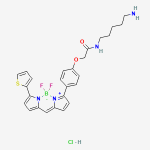 Chemical structure of BODIPY TR Cadaverine