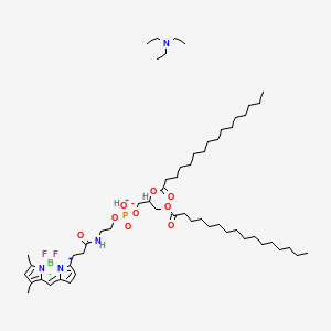 Chemical structure of BODIPY FL-DHPE