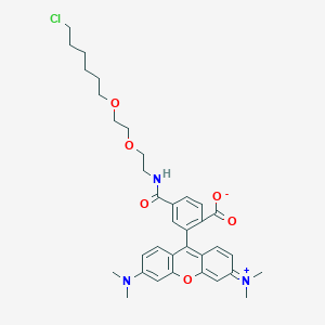 Chemical structure of Halo tag TMR