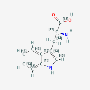 Chemical structure of L-Tryptophan-13C11