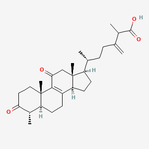 Chemical structure of Antcin A