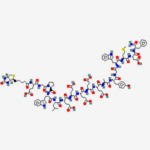 Chemical structure of Biotin-Gastrin-1, human (1-17)