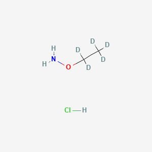 Chemical structure of Ethoxyl-d5-amine HCl