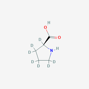 Chemical structure of L-Proline-d7