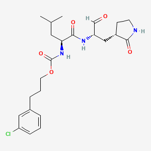 Chemical structure of Thalidomide-5-O-C10-NH2 hydrochloride