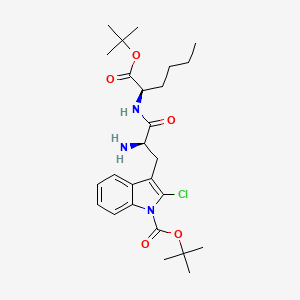 Chemical structure of Thalidomide-5-O-C13-NH2 hydrochloride