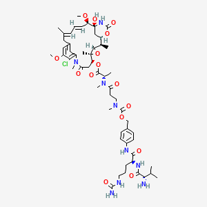 Chemical structure of Val-Cit-amide-Cbz-N(Me)-Maytansine
