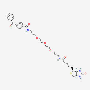 Chemical structure of Biotin-PEG3-benzophenone