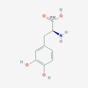 Chemical structure of L-DOPA-13C