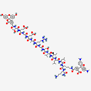 Chemical structure of 5-FAM-TEGEARGSVILLK(5-TAMRA)K-NH2 TFA