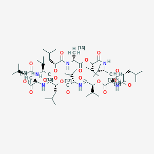 Chemical structure of Cereulide-13C6