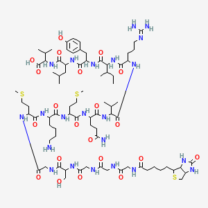 Chemical structure of Biotin-H10