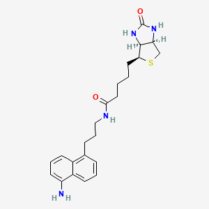 Chemical structure of Biotin-naphthylamine
