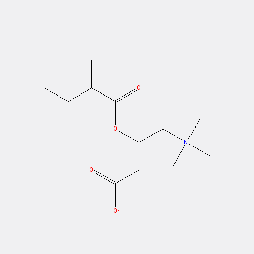 Chemical structure of 2-Methylbutyrylcarnitine chloride