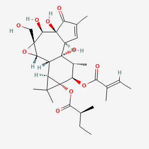Chemical structure of Tigilanol tiglate