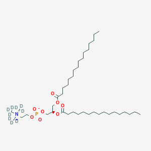 Chemical structure of DPPC-d9-1