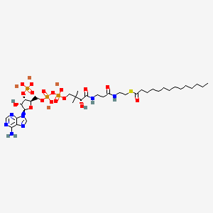 Chemical structure of Myristoyl coenzyme A lithium