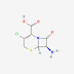 Chemical structure of 7-Amino-3-chloro cephalosporanic acid