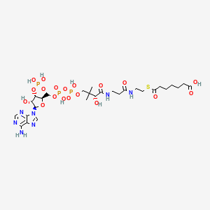 Chemical structure of Pimeloyl-CoA