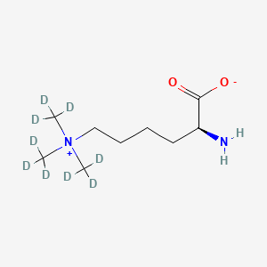 Chemical structure of Trimethyllysine-d9