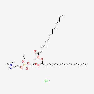Chemical structure of 14:0 EPC chloride