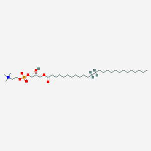 Chemical structure of 26:0 Lyso PC-d4