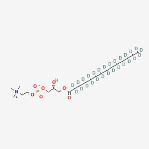 Chemical structure of 14:0 Lyso PC-d27