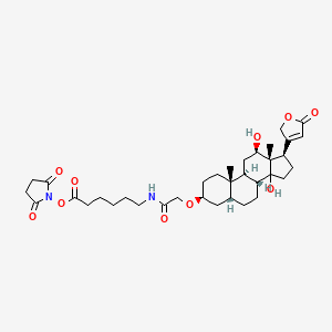 Chemical structure of Digoxigenin NHS ester