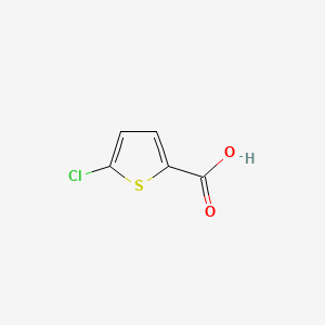 Chemical structure of 5-Chlorothiophene-2-carboxylic acid
