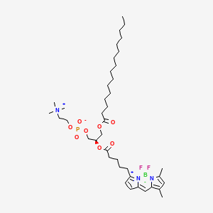 Chemical structure of BODIPY FL C5-HPC