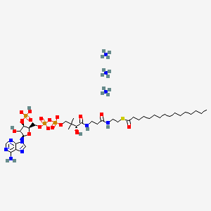 Chemical structure of 16:0 Coenzyme A triammonium