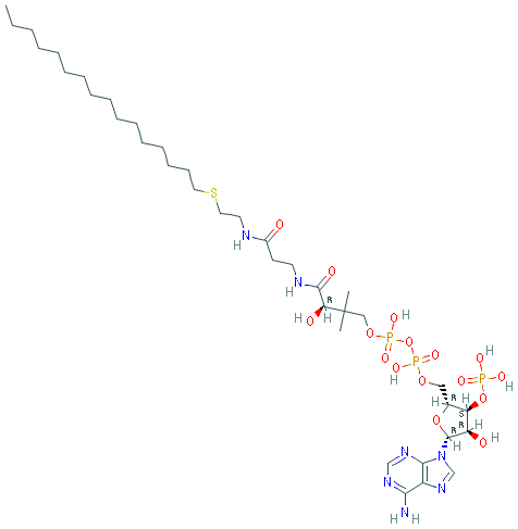 Chemical structure of Hexadecyl-CoA