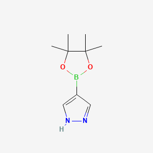 Chemical structure of 1H-Pyrazole-4-boronic acid pinacol ester