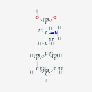 Chemical structure of L-Phenylalanine-13C9