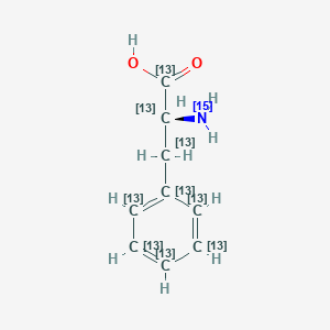 Chemical structure of L-Phenylalanine-13C9,15N