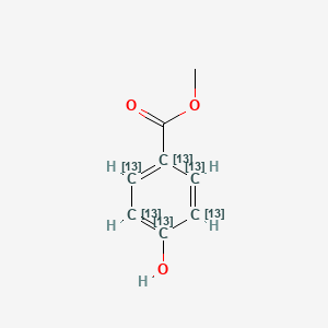 Chemical structure of Methyl Paraben-13C6