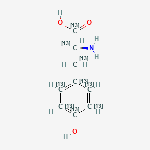 Chemical structure of L-Tyrosine-13C9