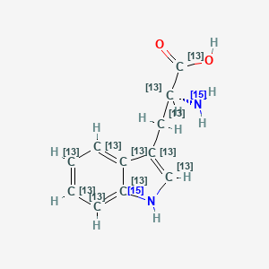 Chemical structure of L-Tryptophan-13C11,15N2