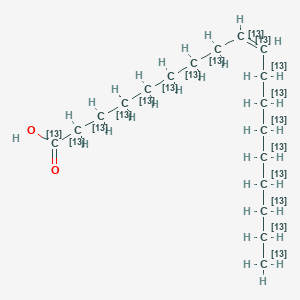 Chemical structure of Oleic acid-13C18