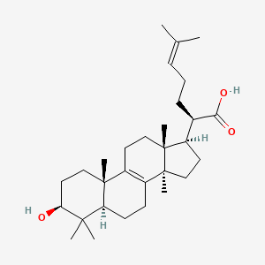 Chemical structure of Trametenolic acid
