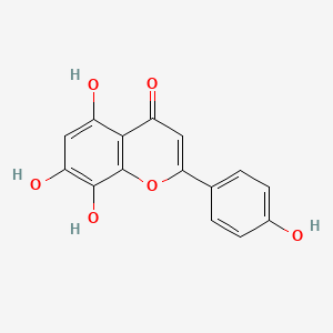 Chemical structure of Isoscutellarein